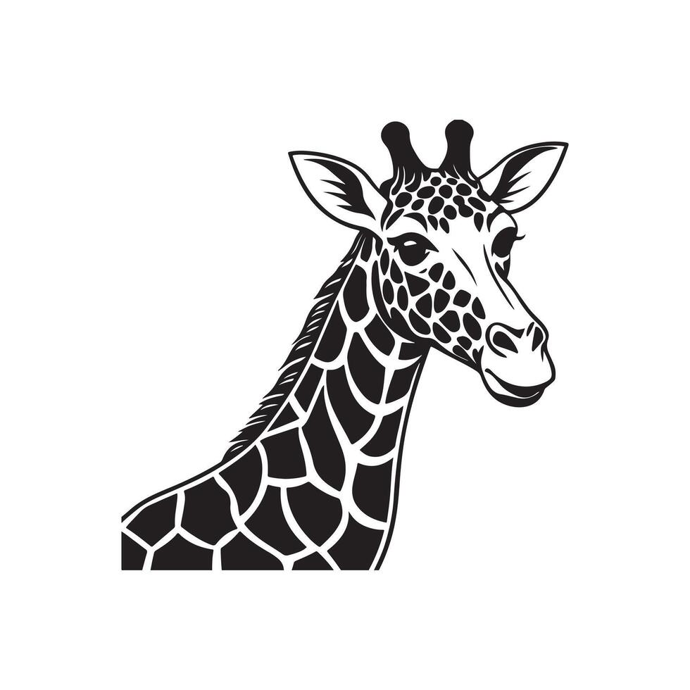 Creative Giraffe Art for Illustrations and Prints. vector