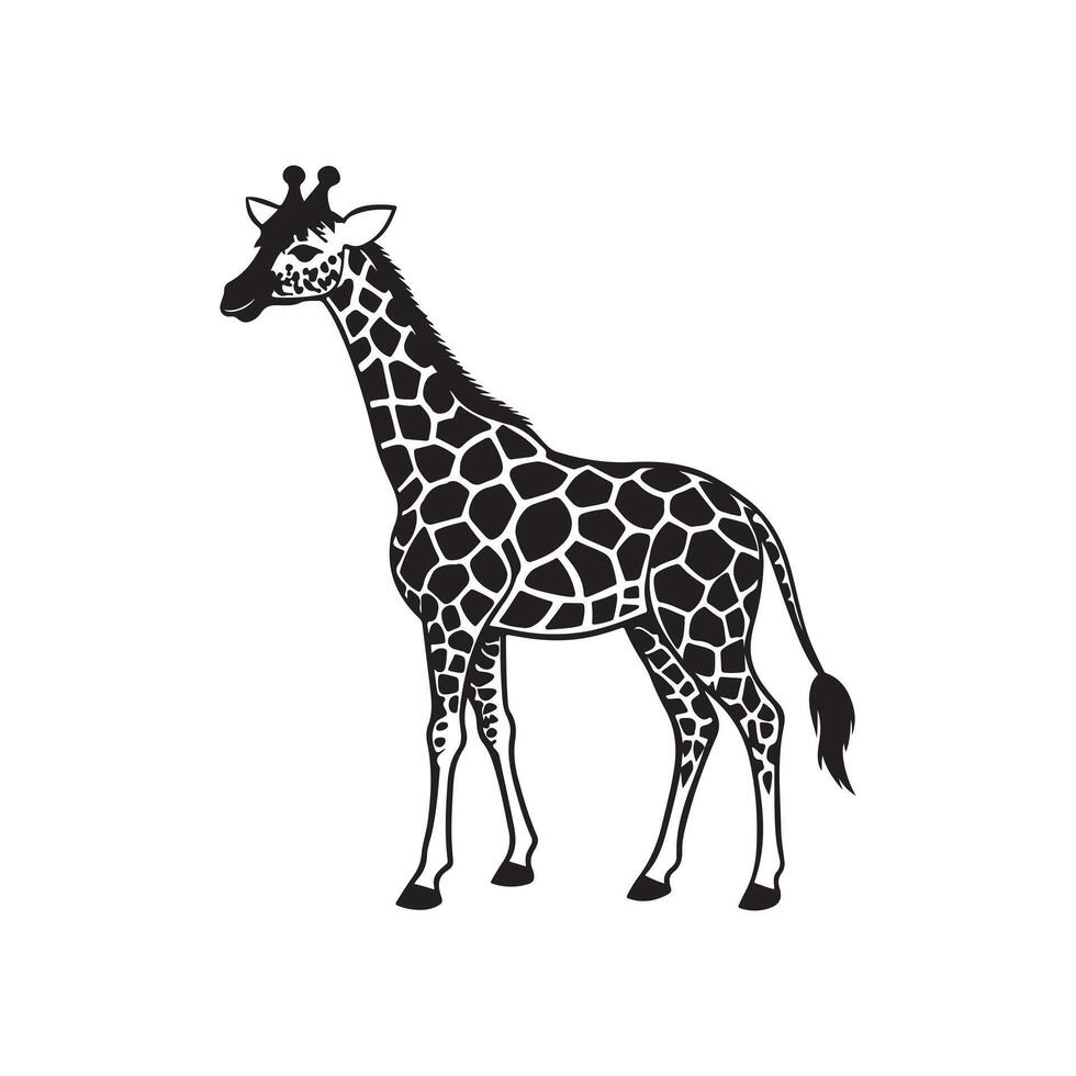 Giraffe Art Illustrations. vector