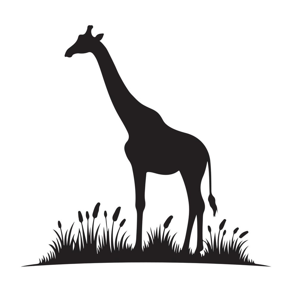 Find Unique Giraffe Art for Your Next Project. vector