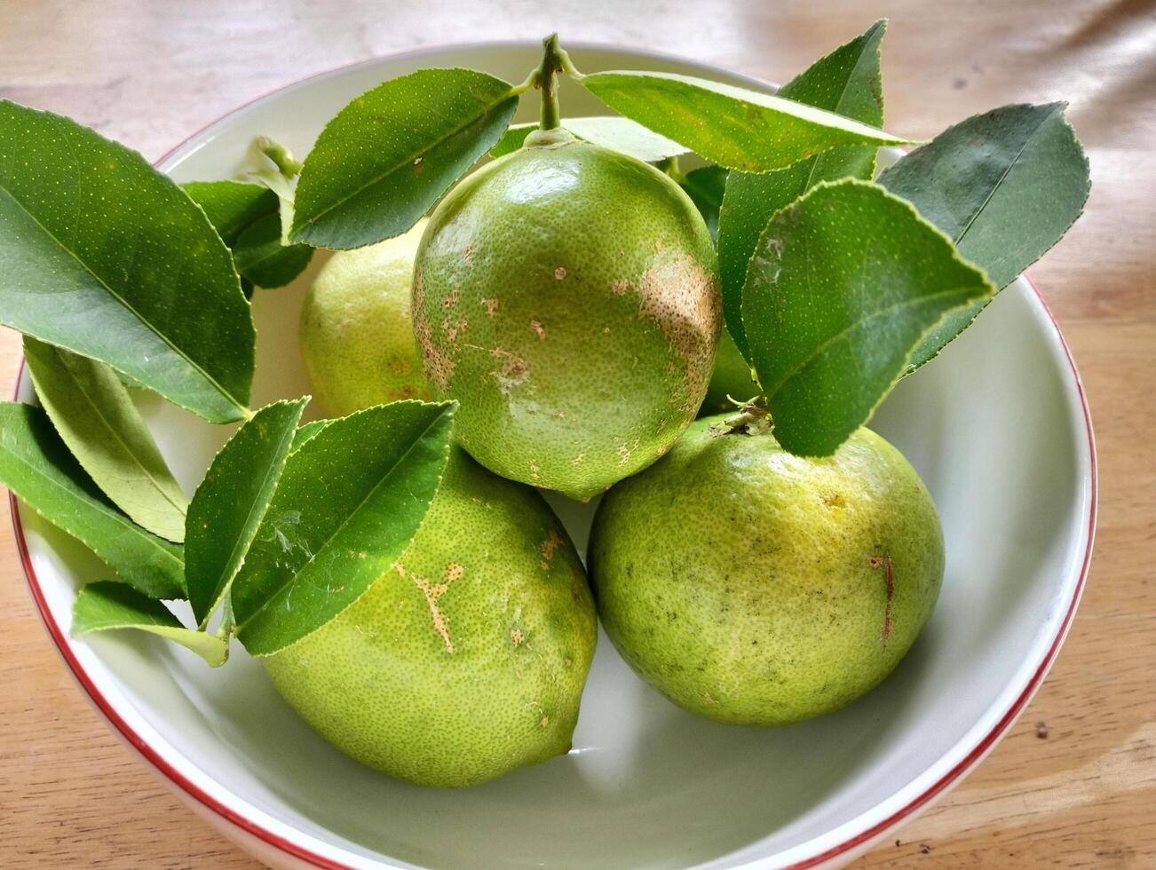 Freshly Picked Lemons with Leaves, Close up of green ripe lemon fruit and green leaves in bowl photo