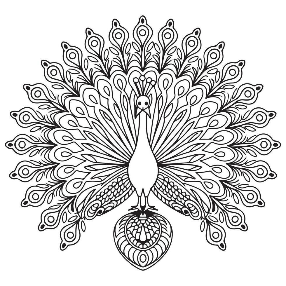 A peacock coloring page with a pattern on it vector