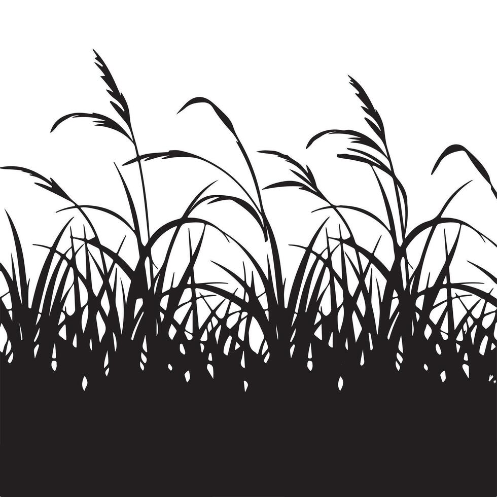 Silhouette of grass on a white background vector