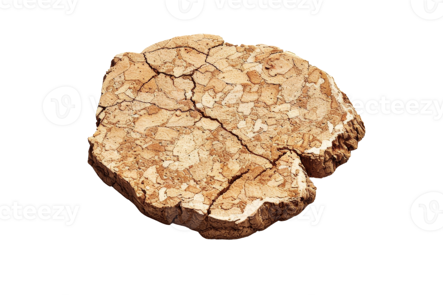 Close-up of cracked, dry soil highlighting the effects of drought and climate change. Perfect for environmental and agricultural concepts. png