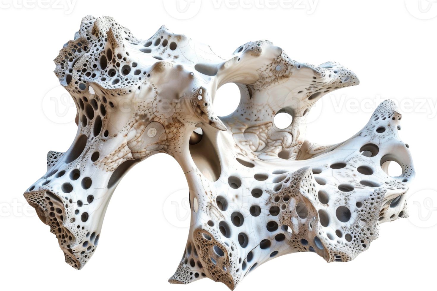 Intricate abstract sculpture with holes and curves, resembling a complex organic structure or coral, isolated on a transparent background. png