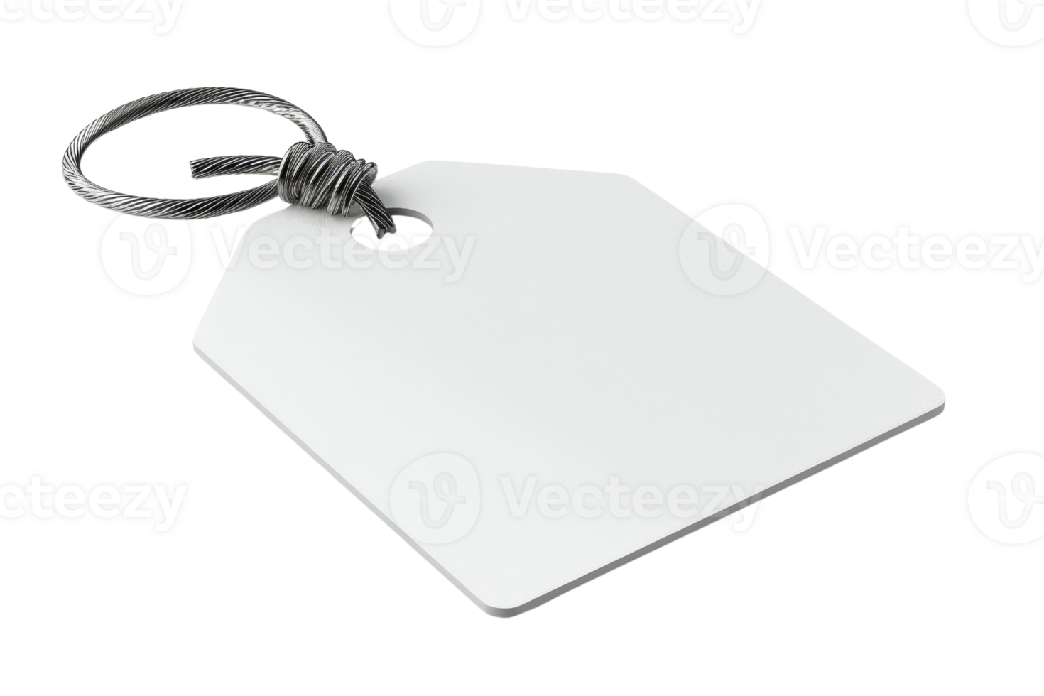 A white tag with a black and white rope tied to it. The tag is empty and has no writing on it png