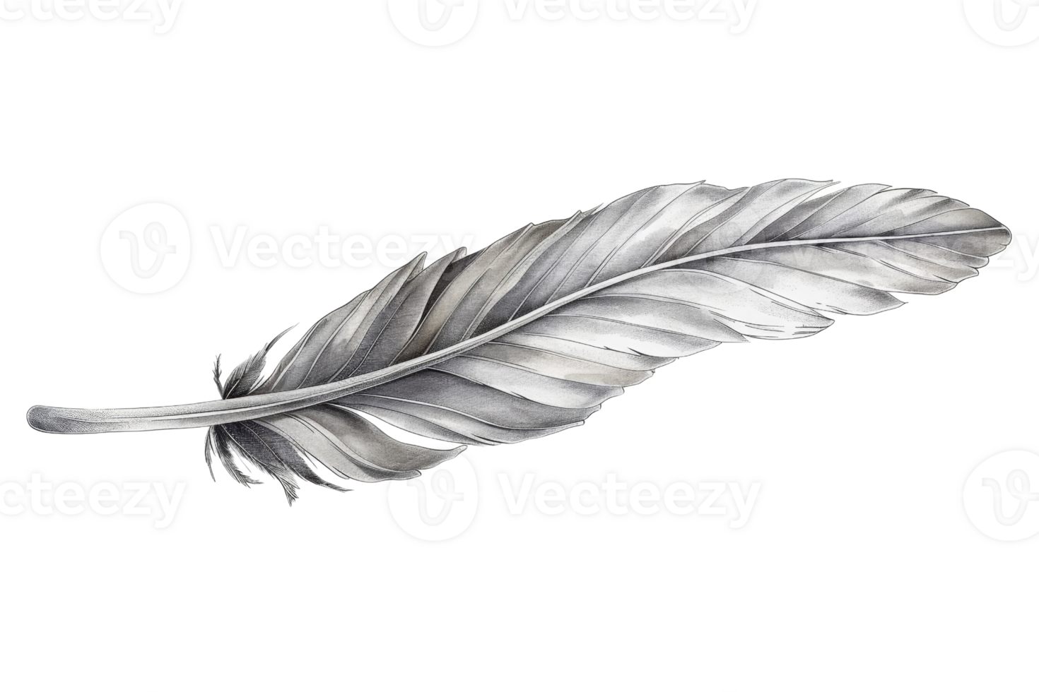 Detailed close-up of a single grey feather. Perfect for nature-themed designs and backgrounds. Isolated on a simple transparent background. png