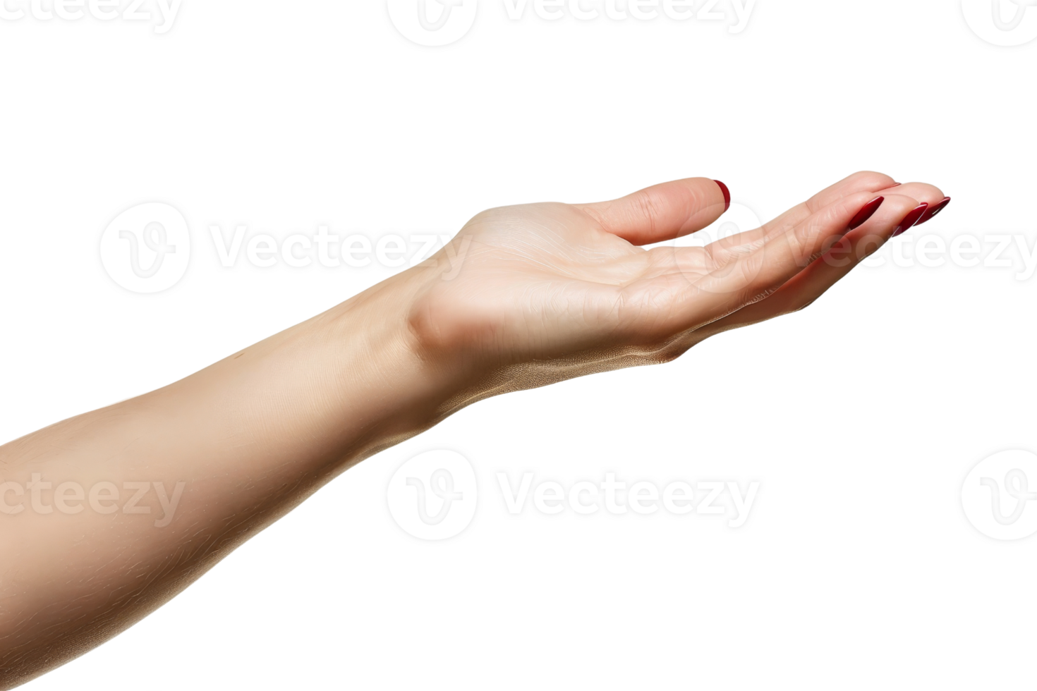 A hand is shown with a red nail polish and a white background. The hand is raised in a gesture of giving or offering something. Concept of generosity and warmth, as the hand is open png