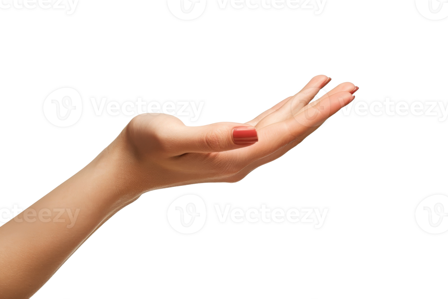 A hand is shown with a red nail polish and a white background. The hand is open and extended, with the fingers spread wide. Concept of openness and generosity png