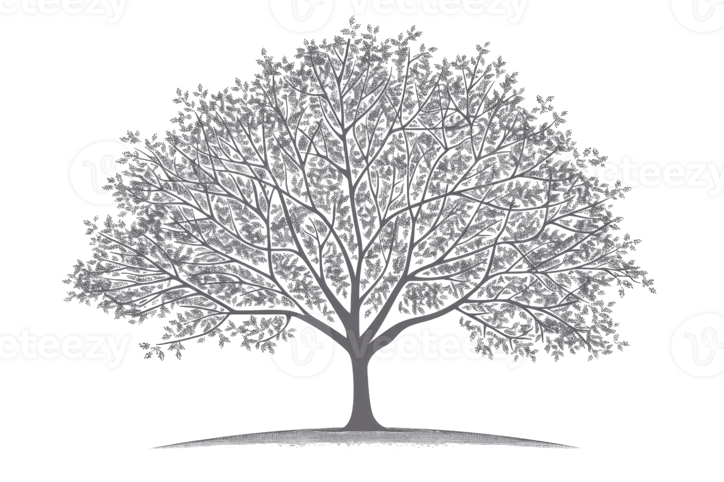 A large tree with no leaves is depicted in a black and white photo. The tree is the main focus of the image, and it is a symbol of strength and resilience png