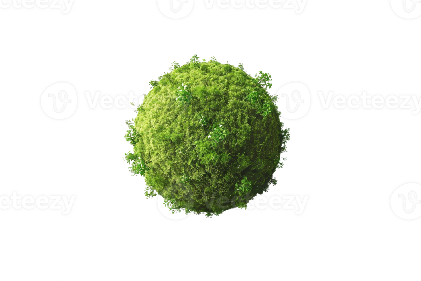 A green ball made of grass. It is a small, round object png