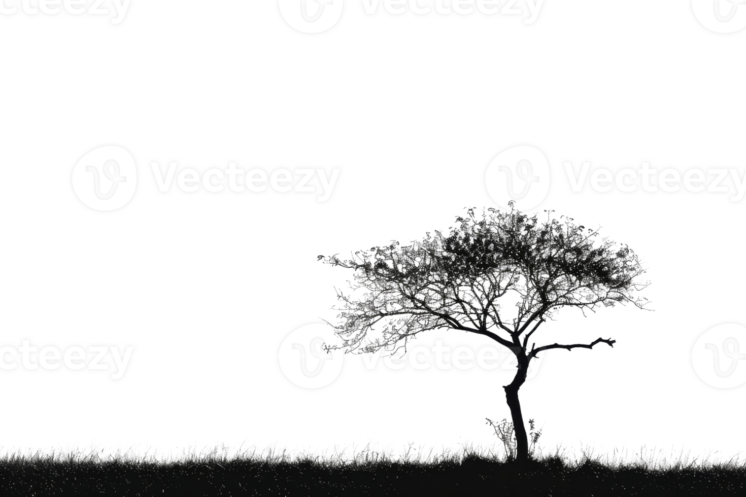 A tree stands alone in a field of grass. The sky is clear and the sun is shining brightly. The tree is tall and slender, with no leaves visible. The scene is peaceful and serene png