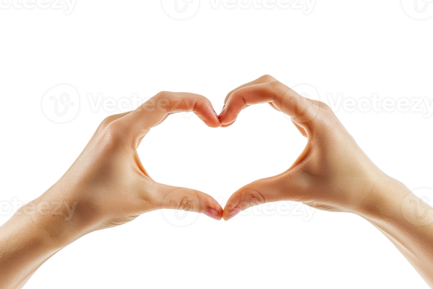 Two hands forming a heart shape on a white background. Concept of love and affection png