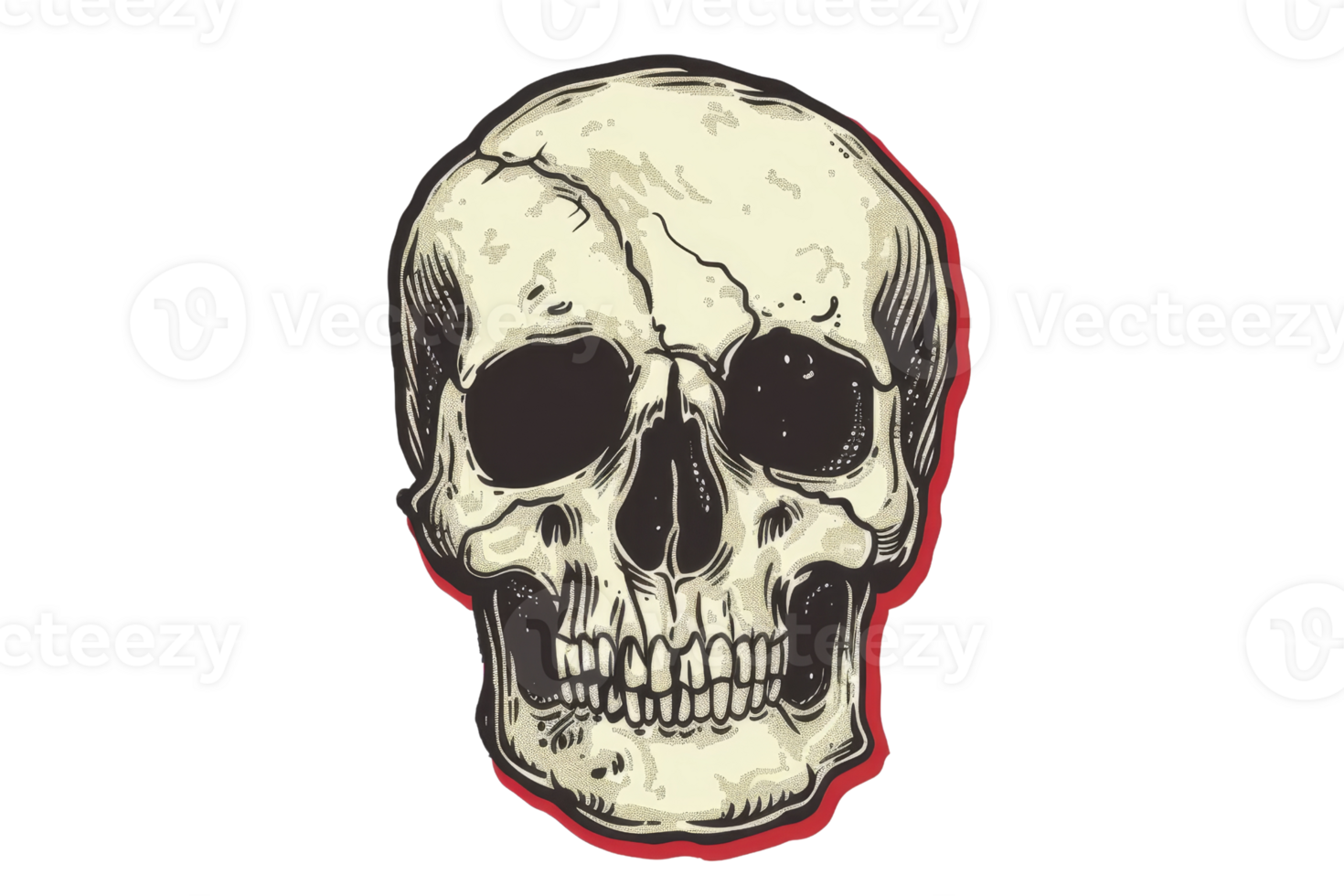 illustration of a human skull with detailed shading and coloring on a transparent background, perfect for Halloween themes and decorations. png