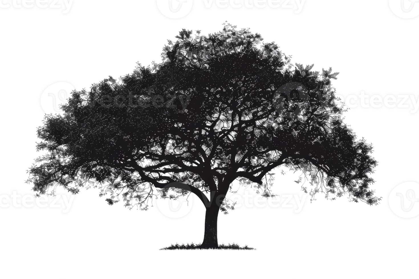 Silhouette of a large tree with sprawling branches, standing isolated against a transparent background. capturing the essence of nature's beauty. png