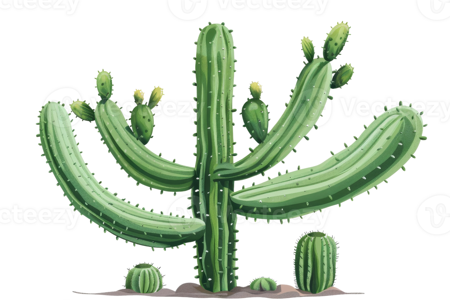 Vibrant green cactus with multiple arms and buds, isolated on transparent background. ideal for nature-themed designs and desert plant illustrations. png