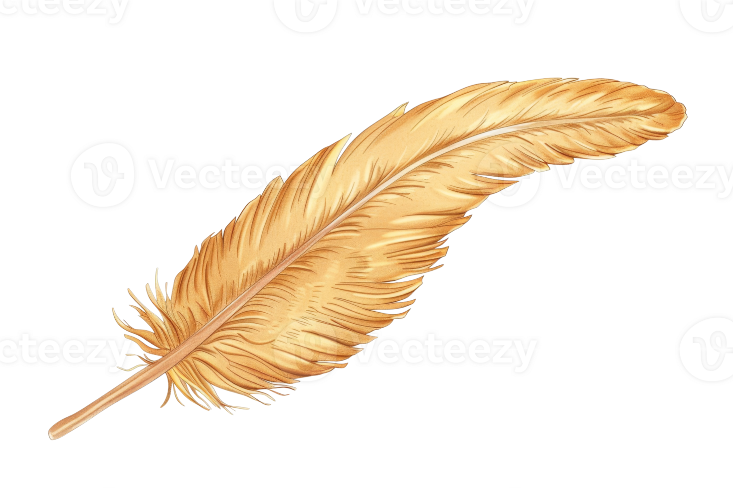 High-resolution image of a single, golden feather isolated on a transparent background, perfect for design and decorative projects. png