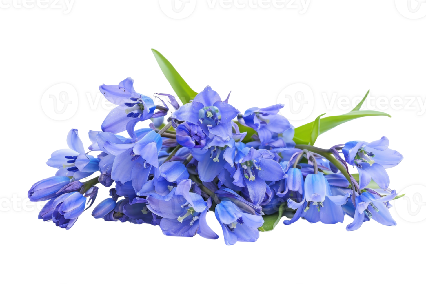 Beautiful bouquet of blue flowers with green stems, isolated on a transparent background. perfect for floral designs and nature themes. png