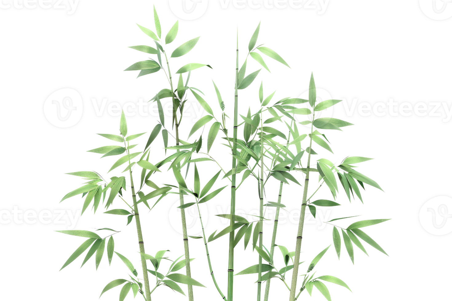 Lush green bamboo stalks with leaves, isolated on a transparent background. Ideal for nature, environment, or botanical themes. png