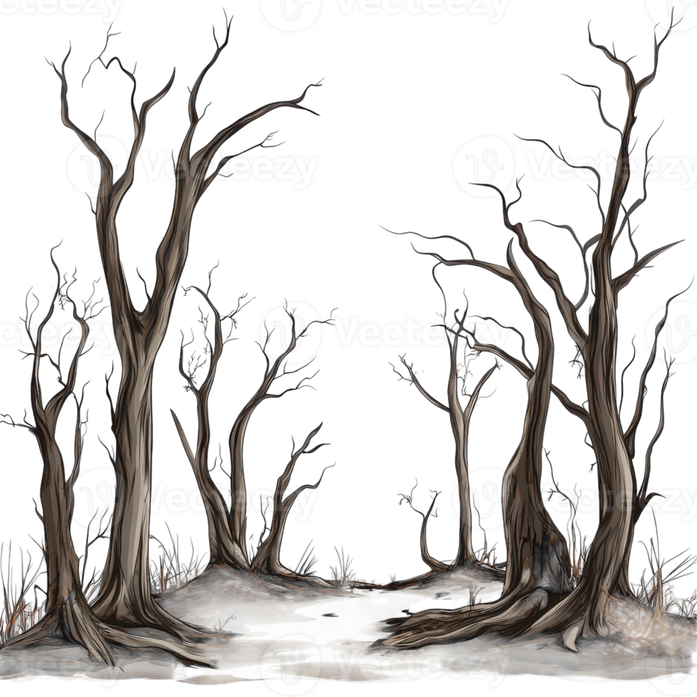 A digital painting of a forest with bare trees png