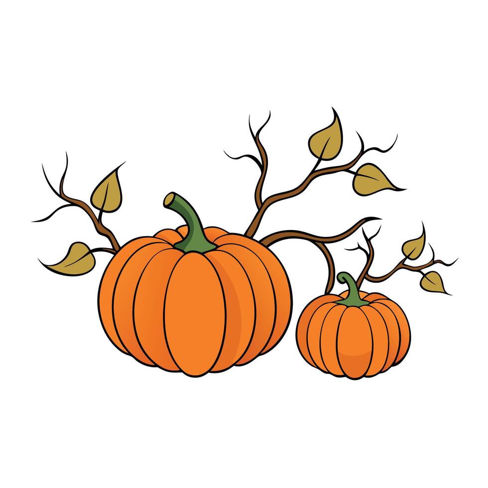 Pumpkins and branch on the white background vector