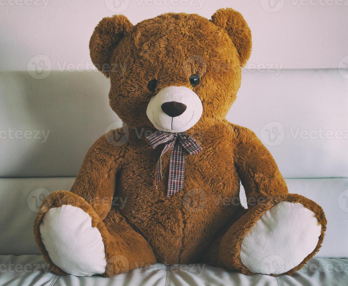 A brown teddy bear sitting on a couch photo