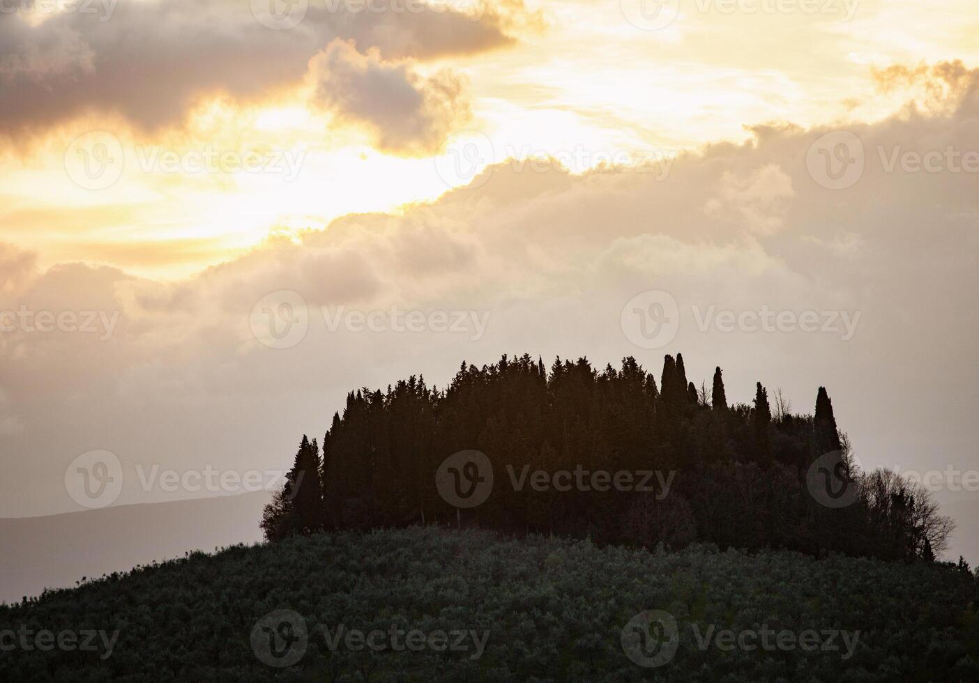 A hill with trees and a sky photo