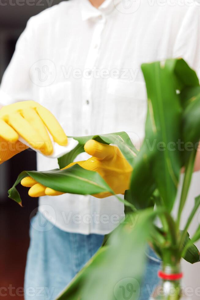 Woman holding plant wearing yellow rubber gloves. photo
