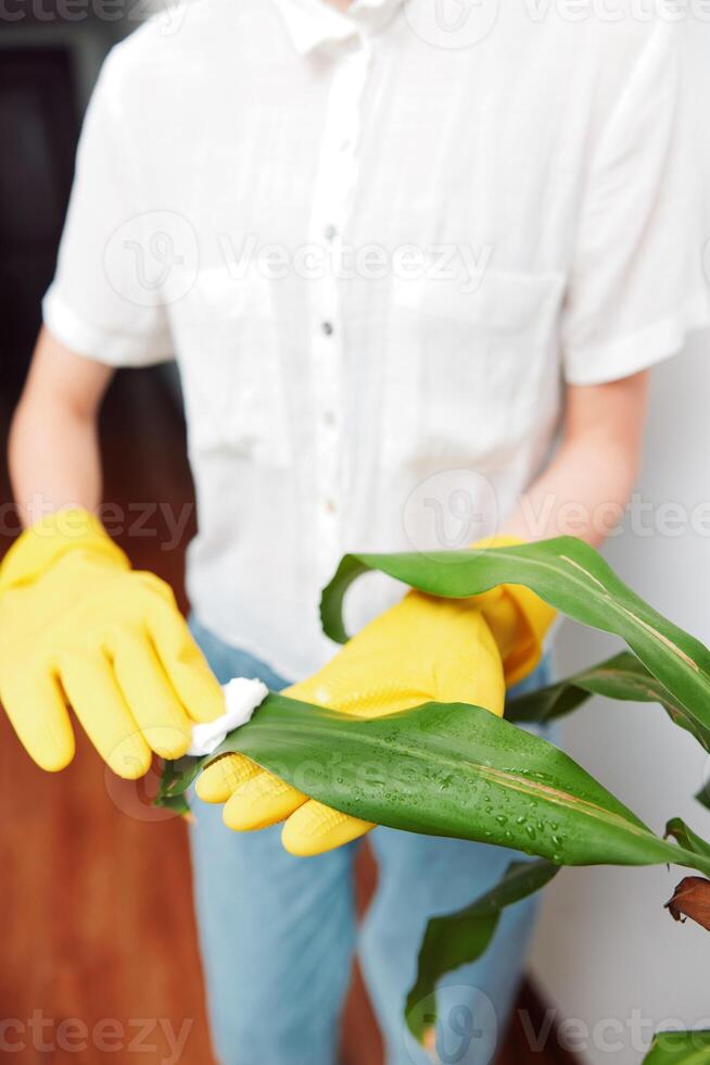 Cleaning woman in yellow gloves mopping plant on floor. photo
