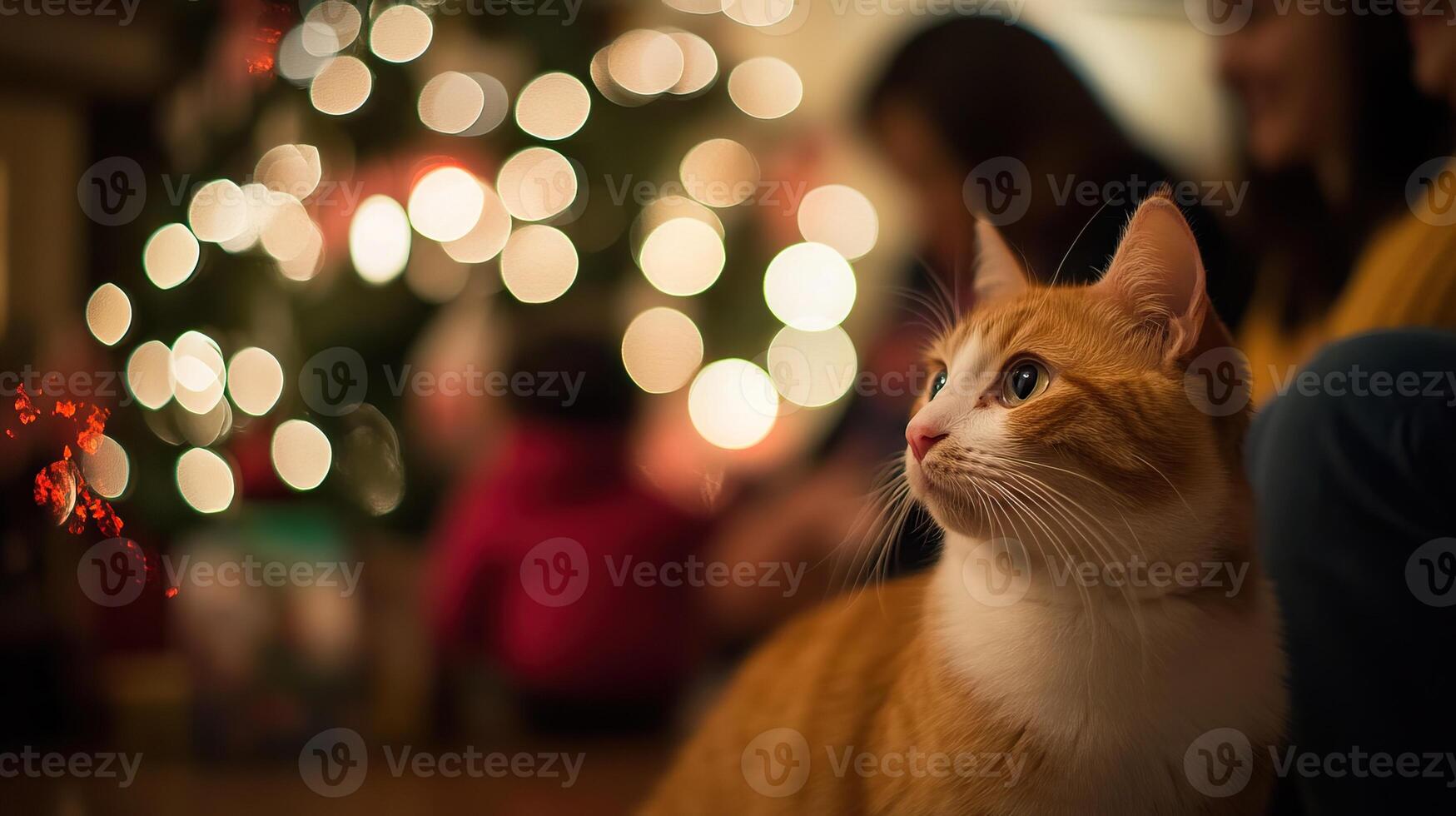 A cozy indoor scene featuring a curious orange cat with a festive background of twinkling lights and a Christmas tree. photo