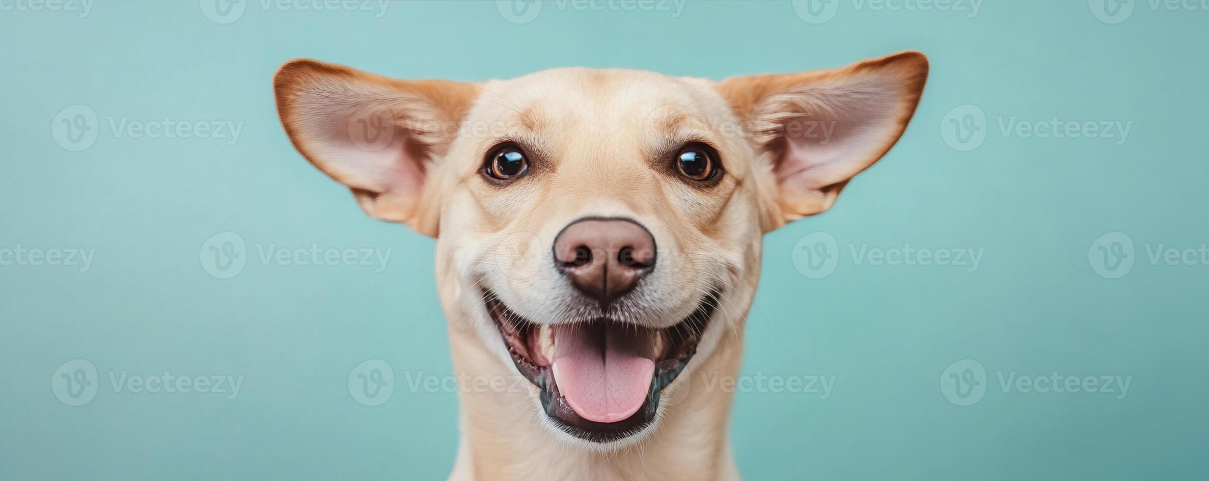 A cheerful, smiling dog with perked ears against a light blue background, radiating joy and friendliness. photo