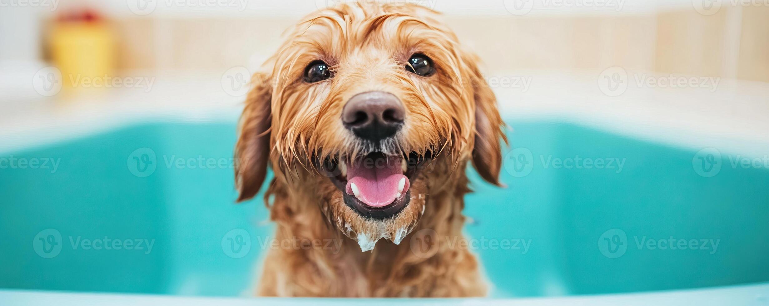 A happy dog enjoying a bath, soaking wet with water droplets, displaying an adorable smile in a teal tub. photo