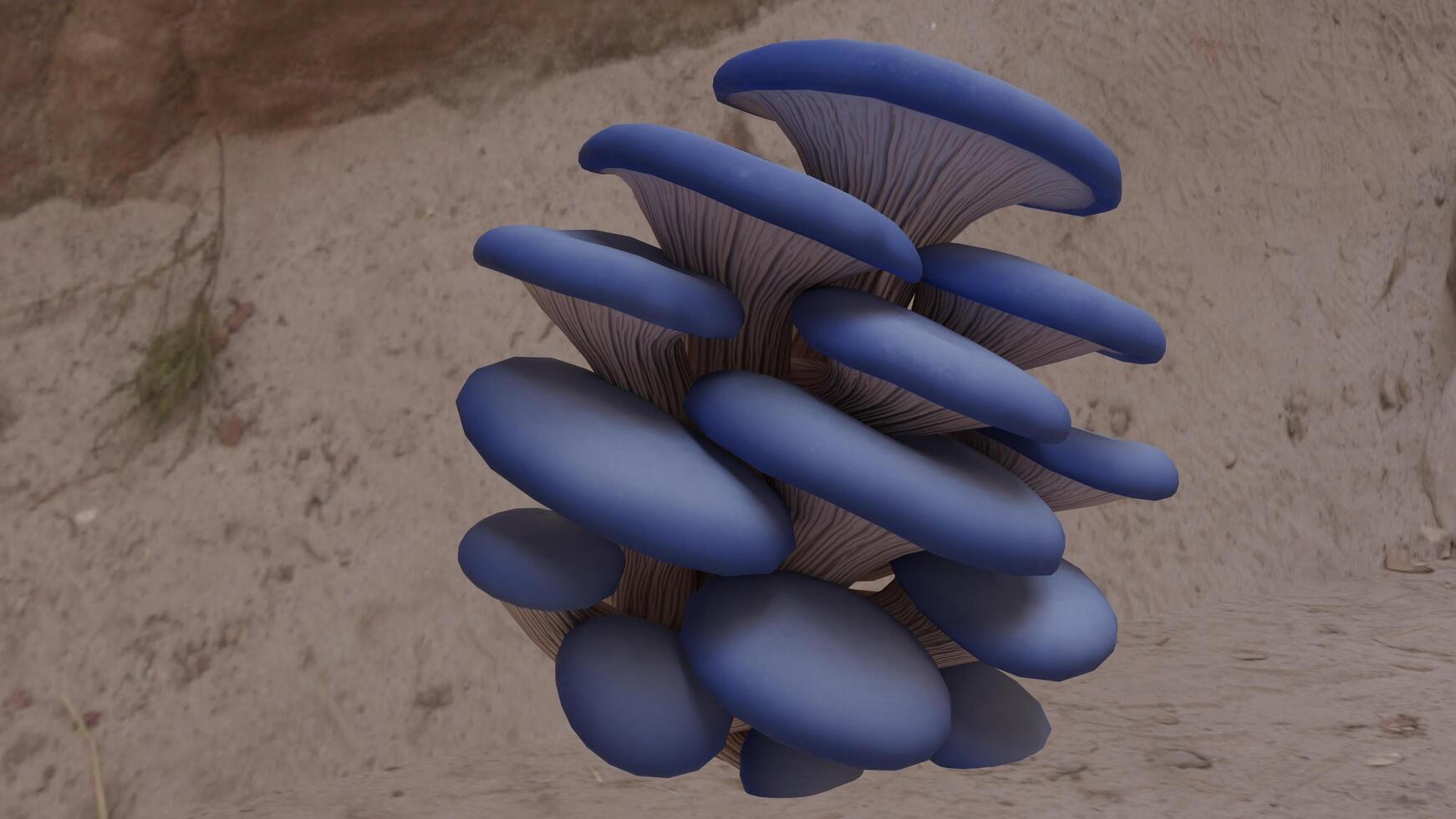 Mushrooms growing in the forest photo