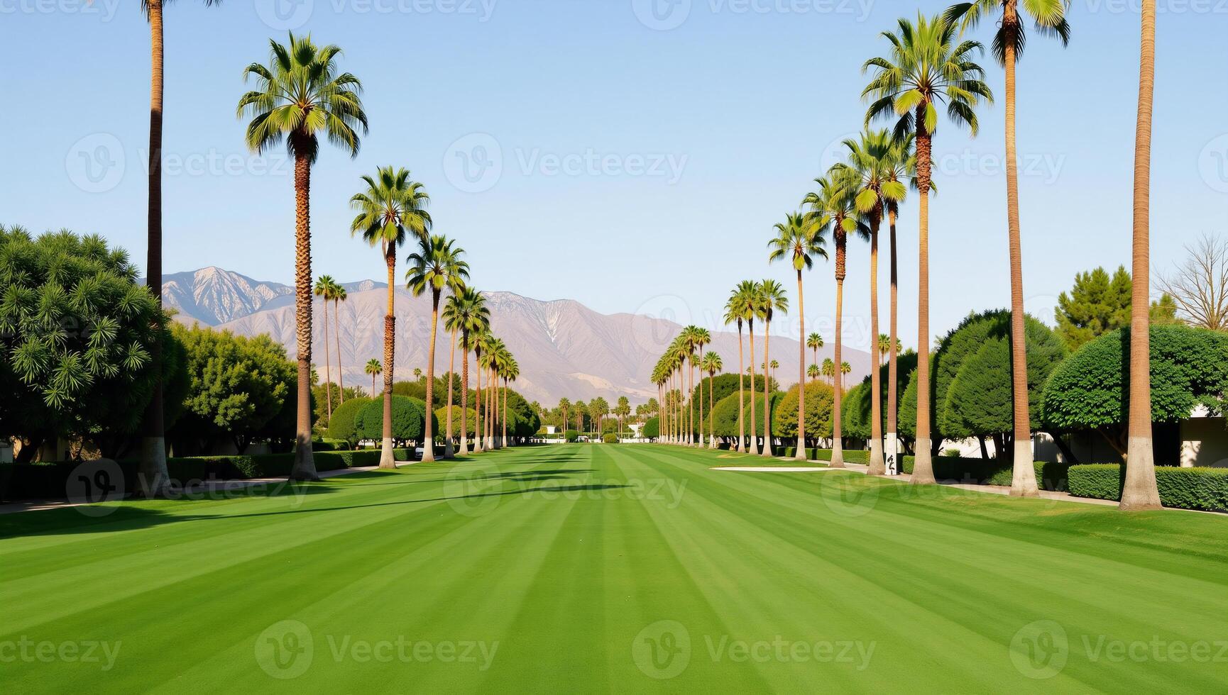 Picturesque golf course featuring palm trees and lush green lawn in Palm Springs photo