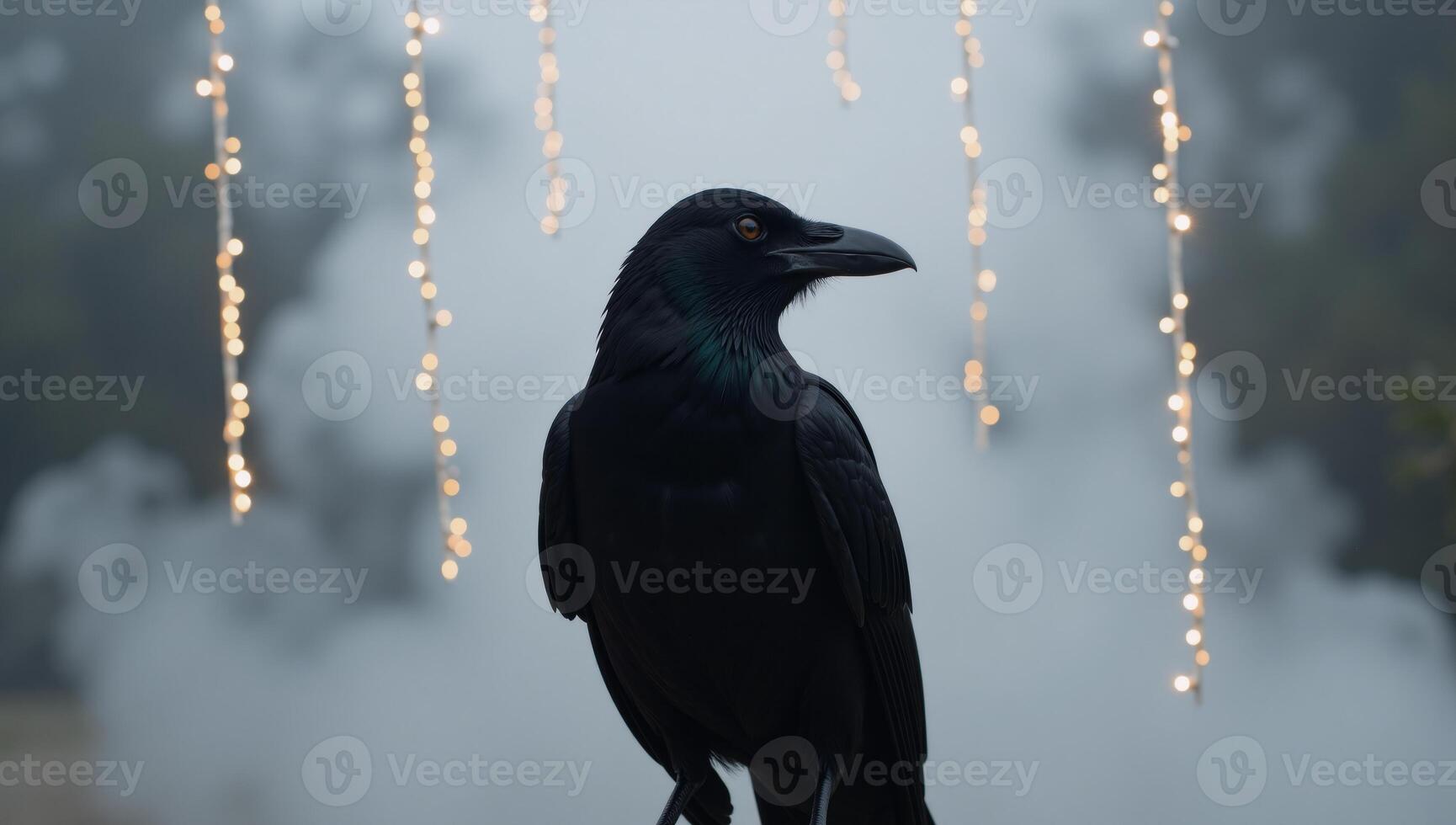 Sleek black raven perches amidst misty settings lit by LED star lights photo