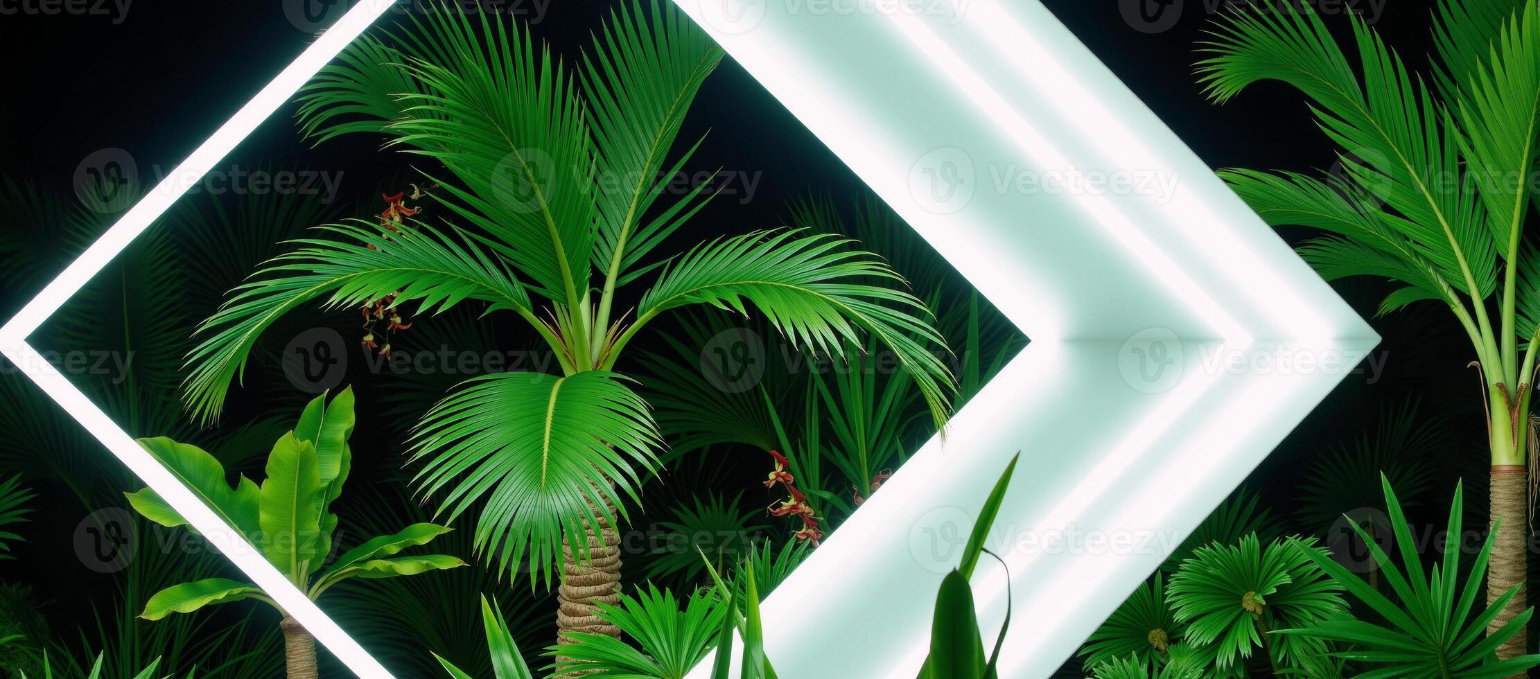 Tropical plants bathed in white fluorescent light within a diamondshaped neon frame photo