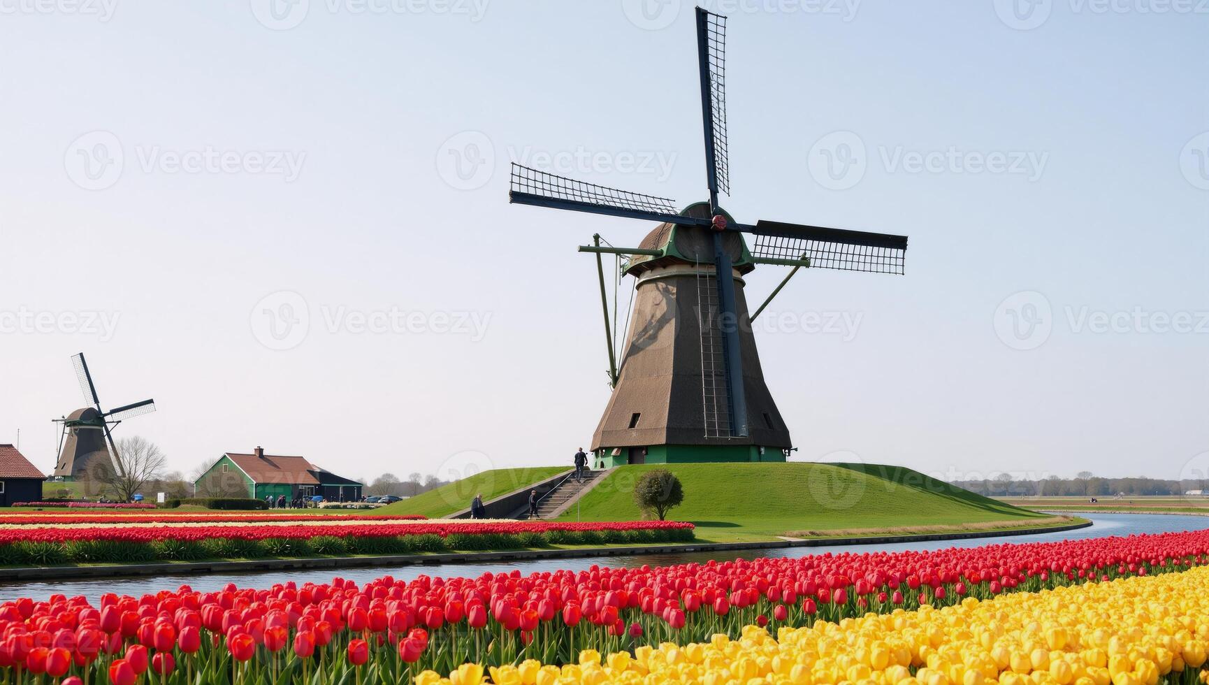 A picturesque Dutch windmill surrounded by tulip fields and river landscape in the setting of Zaanse Schans photo