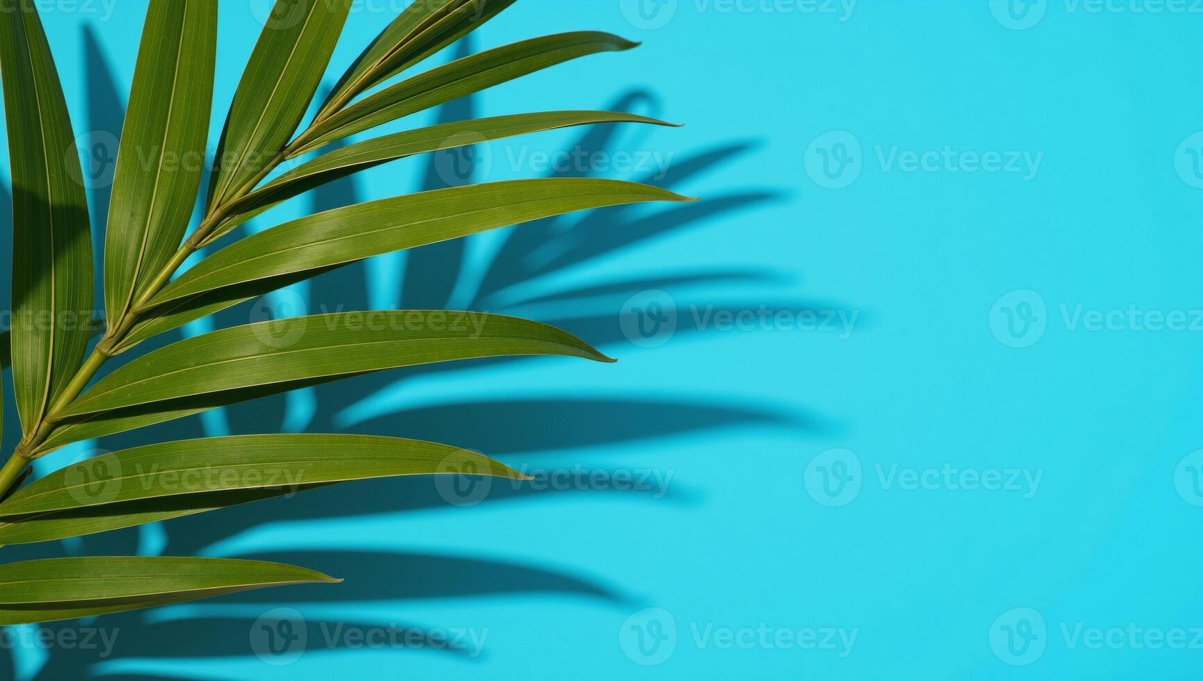 Minimalist flatlay showcases tropical palms cast against blue backdrop ideal for naturethemed text photo