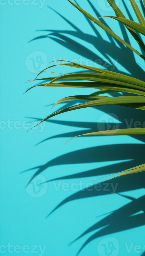 Minimalist flatlay showcases tropical palms cast against blue backdrop ideal for naturethemed text photo