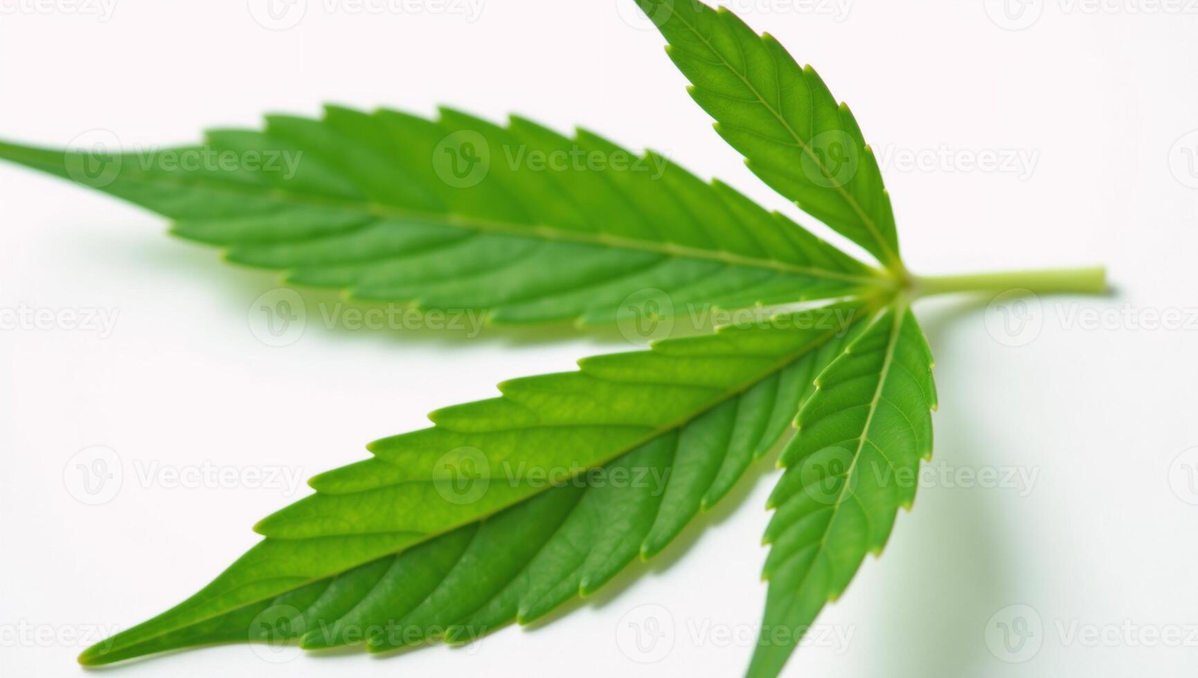 Isolated closeup of a marijuana bud against a white backdrop photo