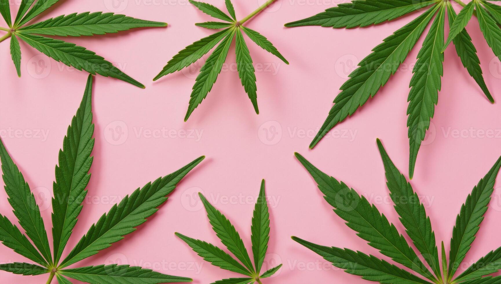Flat lay image featuring pink marijuana leaves on a matching pink backdrop photo