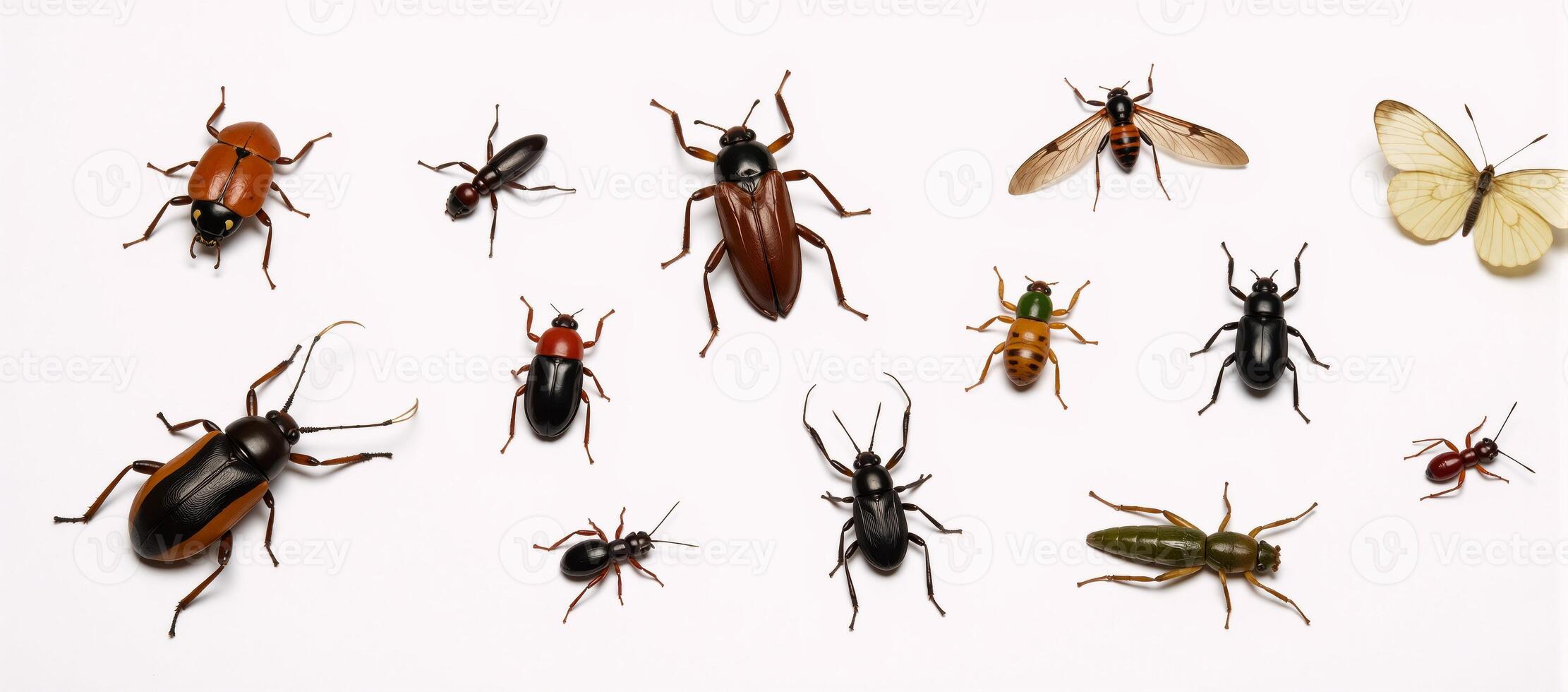 Highmagnification image showcases various bugs against a pure white background with intricate details of their tiny features photo