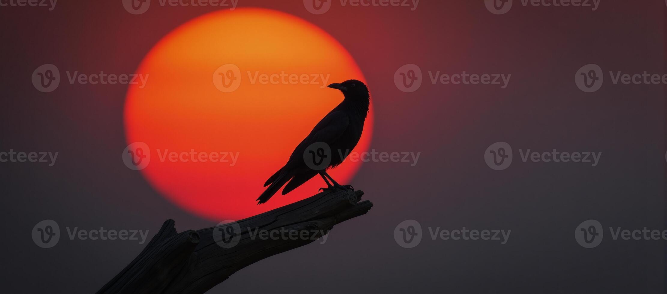 Black bird on redlit tree branch photo