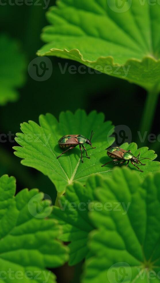 Bugs sitting on lush greenery detailed insects and plant life photo