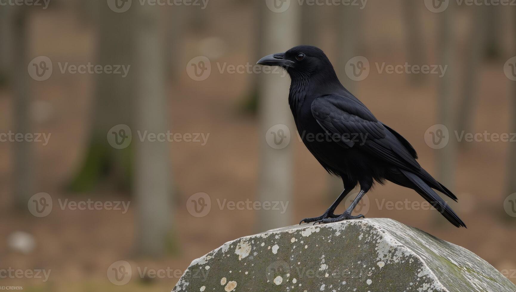A Pixarinspired portrait depicts a solitary raven perched menacingly on a weathered rock covered with moss and lichen photo