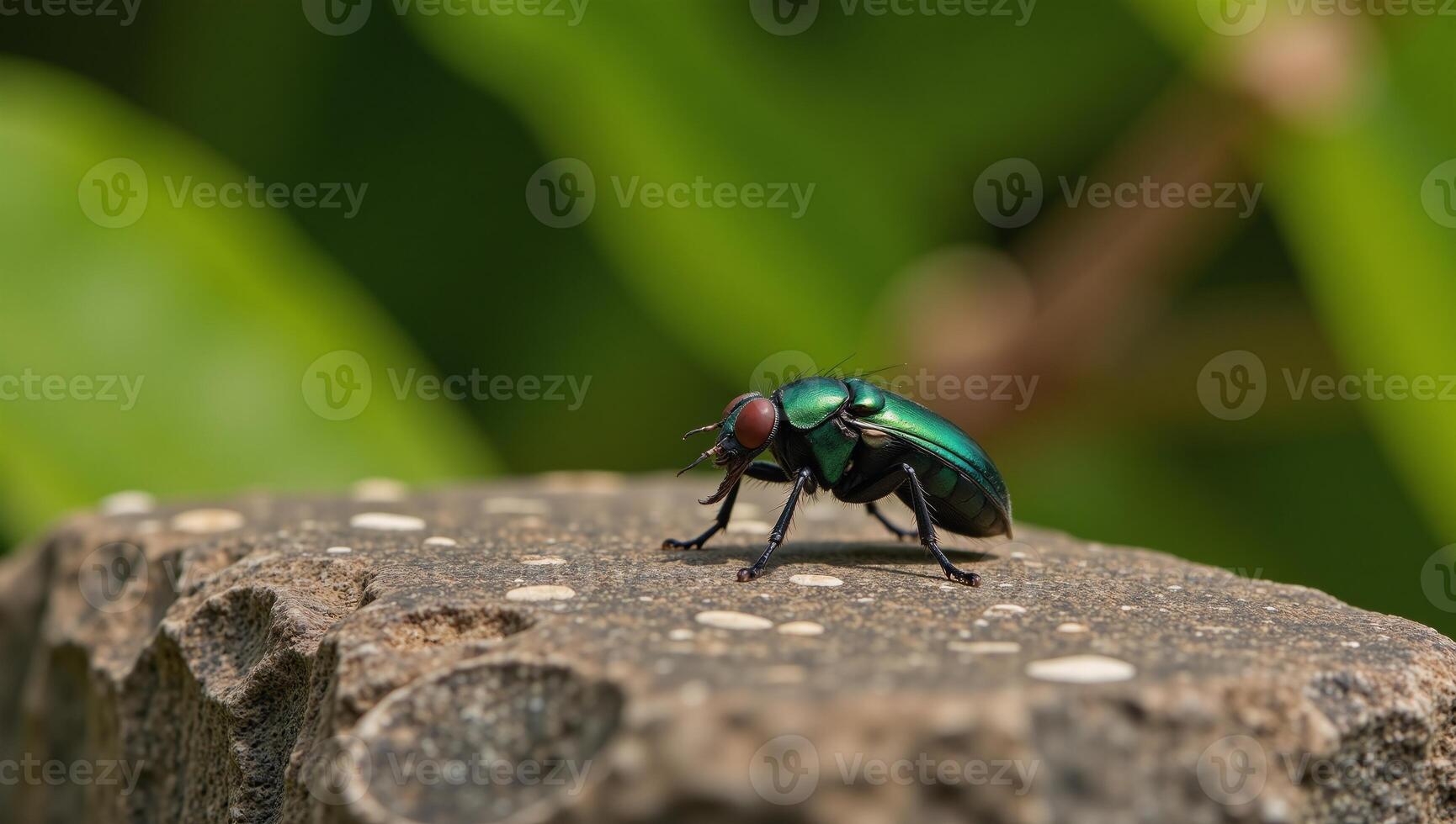 A vibrant illustration of an emeraldgreen fly beetle perched on a rock amidst a natural setting photo