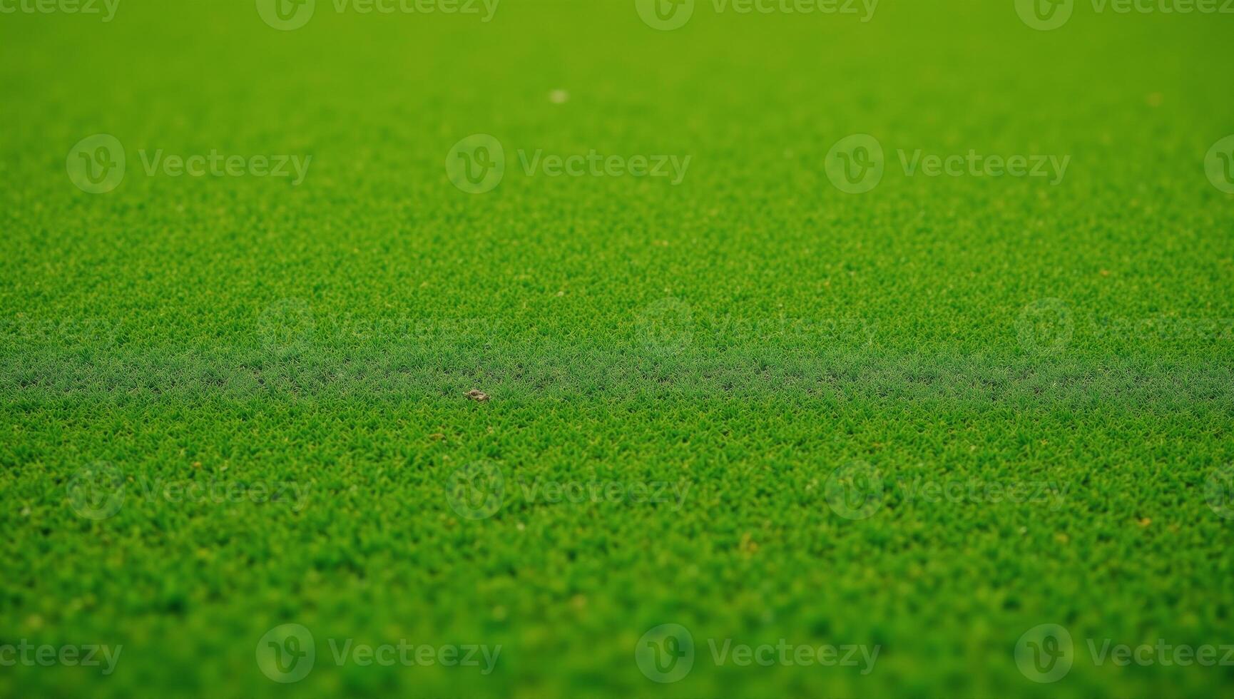 un hermosa verde golpe corto rodea el primer plano foto