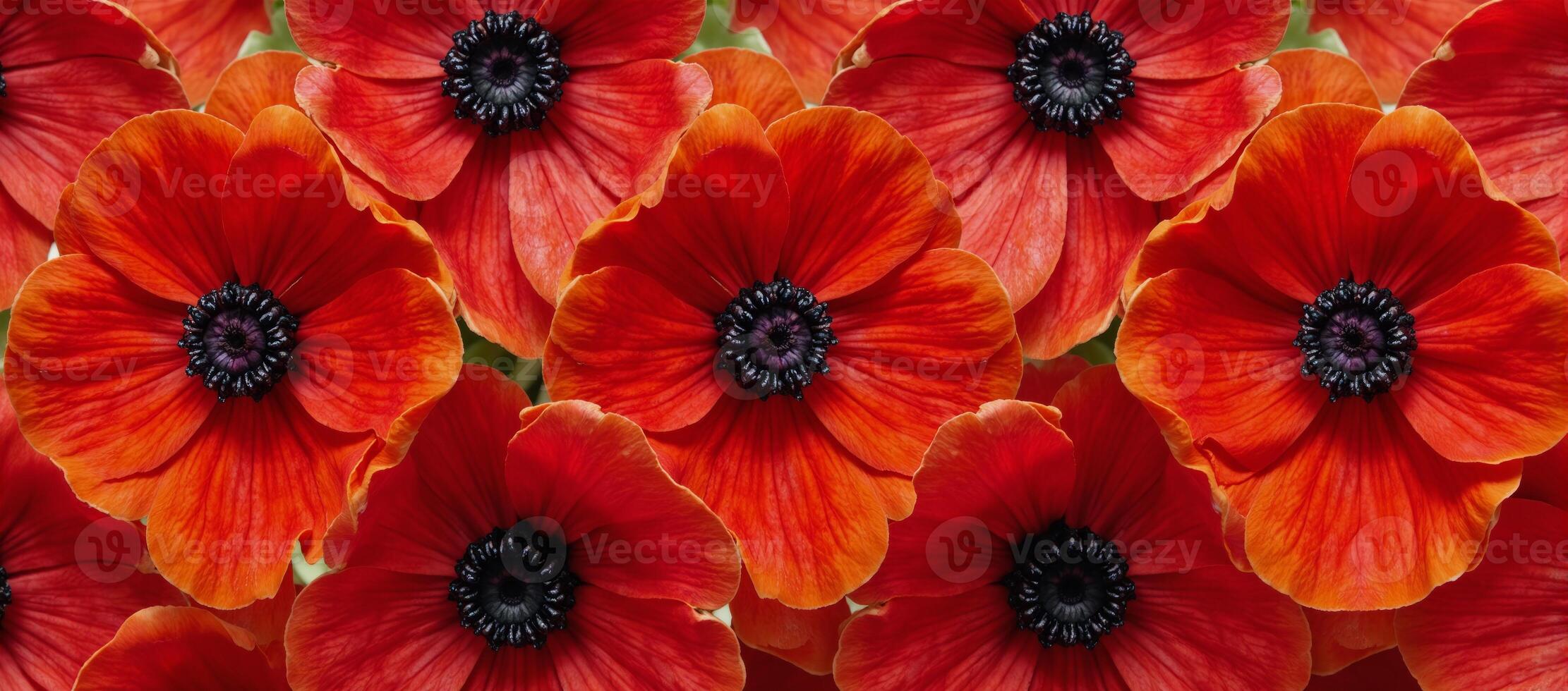 Stylized artwork featuring intricate patterns of elegant redorange anemone flowers Abstract photo