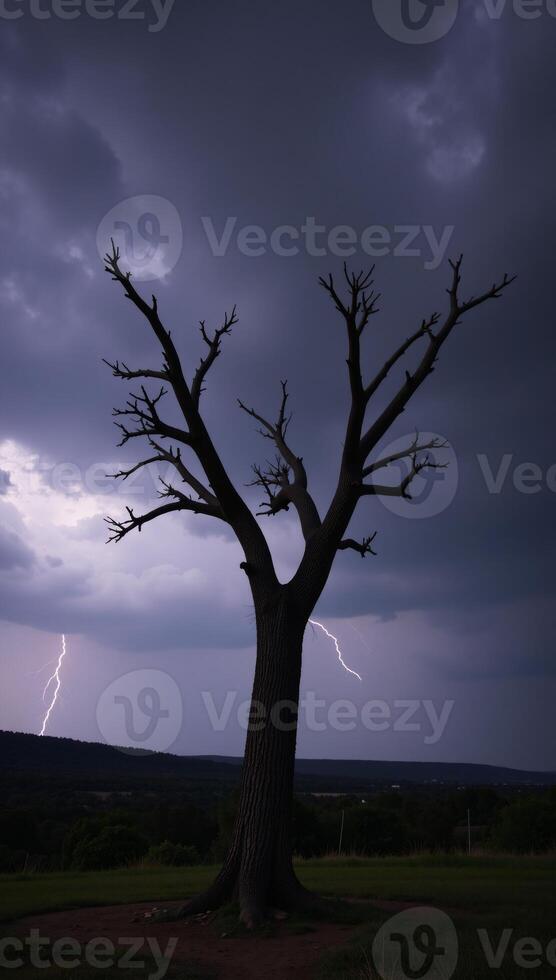 Stunning Night Sky Scene with Gloomy Storm Cloud Background Thunderstorm with Wind Lightning FantasyHorror Immersion photo