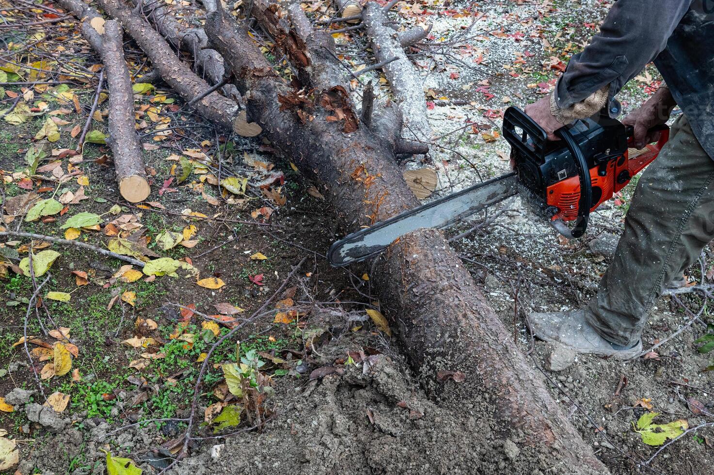 A man cutting a tree with a chainsaw. photo