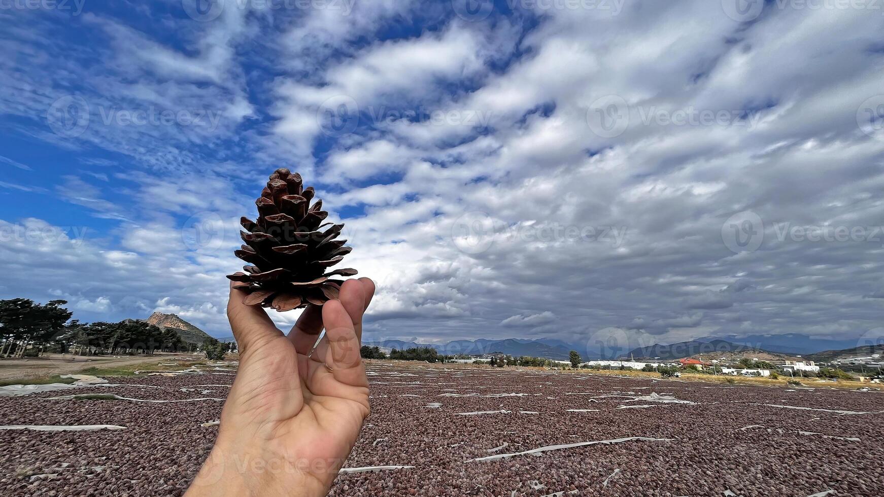 The man is holding a pine cone, blue sky and clouds. photo